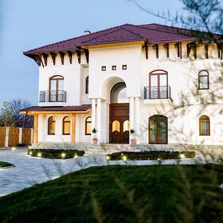 バイア・デ・フィエル Conacul Olarilor Bed & Breakfast エクステリア 写真