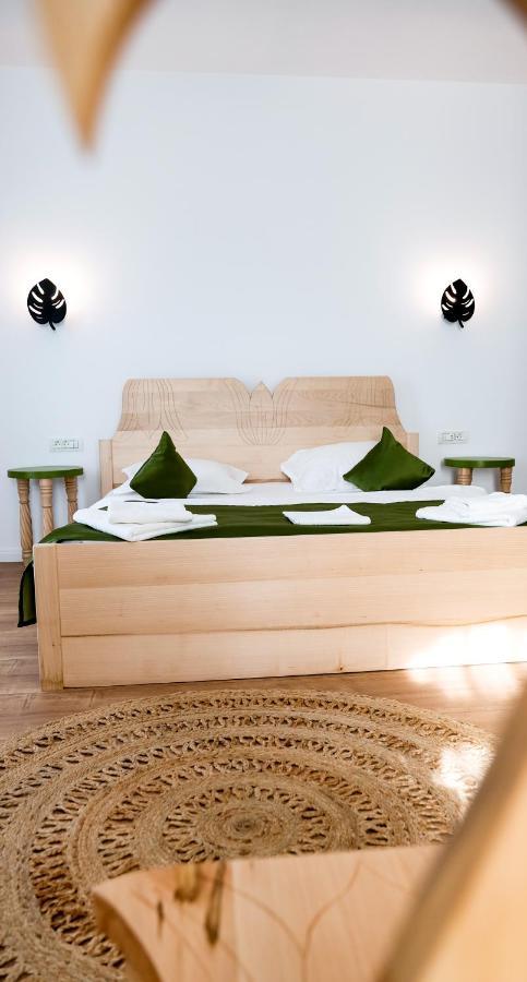 バイア・デ・フィエル Conacul Olarilor Bed & Breakfast エクステリア 写真