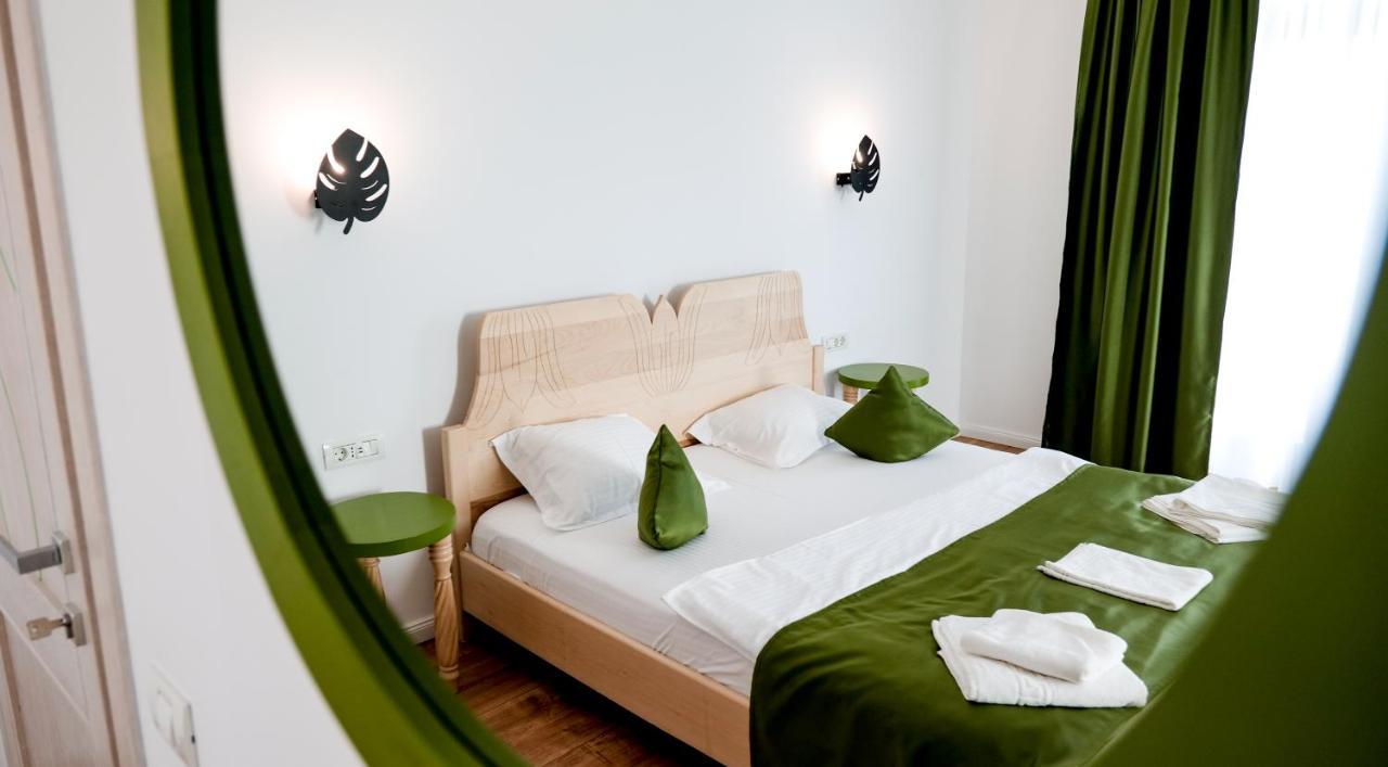 バイア・デ・フィエル Conacul Olarilor Bed & Breakfast エクステリア 写真